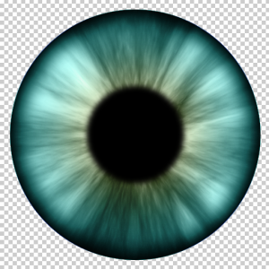 Iris Eye Action Generator